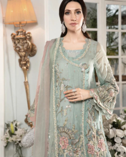 Pakistani Party Outfit Palazzo Anrakha Kameez