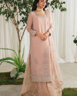 Baby Pink Pakistani Party Kameez Sharara