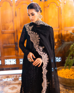 Black Gold Pakistani Party Salwar Kameez