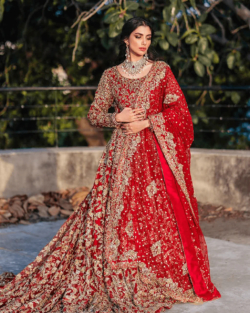 Blood Red Heavily Embellished Lehenga Gown Bridal Outfit