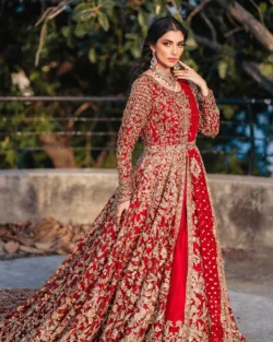 Blood Red Heavily Embellished Lehenga Gown Bridal Outfit