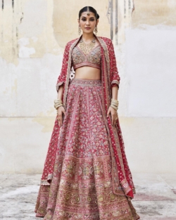 Designer Embellished Deep Red Indian Lehenga