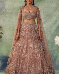 Dusty Pink Lehenga Choli Indian Bridal Dress