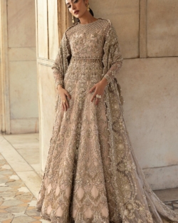 Elegant Pakistani Bridal Pink Pishwas Lehenga