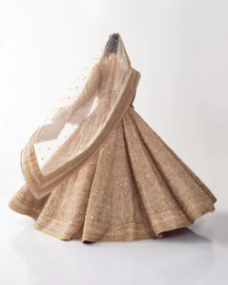 Adorned Brilliant Lehenga Choli With Dupatta Dress