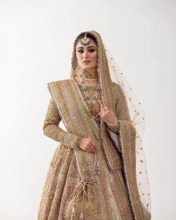 Adorned Brilliant Lehenga Choli With Dupatta Dress