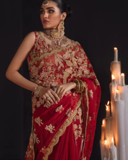 Adorned Red INDIAN Marriage Saree In Net Chiffon