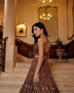 Heavily Embellished Brown Lehenga Choli Indian Wedding Dress