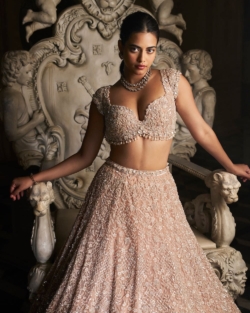 Indian Bridal Champagne Embellished Lehenga Blouse