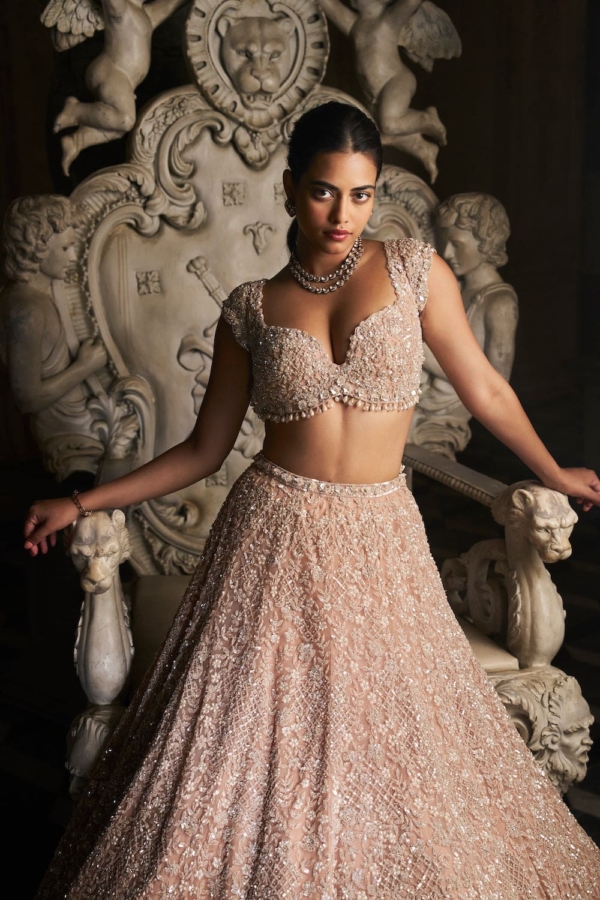 Indian Bridal Champagne Embellished Lehenga Blouse