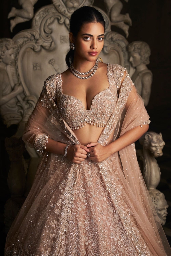 Indian Bridal Champagne Embellished Lehenga Blouse