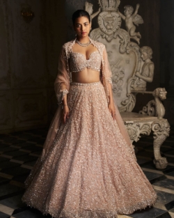 Indian Bridal Champagne Embellished Lehenga Blouse