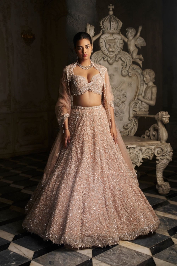 Indian Bridal Champagne Embellished Lehenga Blouse