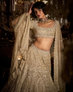 Indian Bridal Champagne Pearl Blouse Lehenga