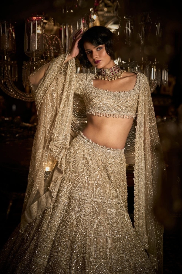 Indian Bridal Champagne Pearl Blouse Lehenga