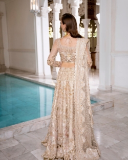 Indian Bridal Choli Lehenga In Gold