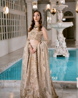 Indian Bridal Choli Lehenga In Gold