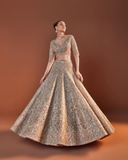 Indian Bridal Embellished Ivory Lehenga Choli