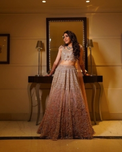 Indian Bridal Embellished Lehenga Choli Wedding Dress