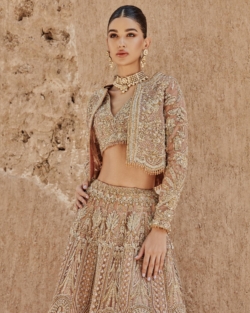 Indian Bridal Golden Coral Lehenga Choli