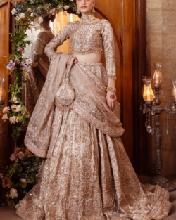 Indian Bridal Lehenga with Tissue Choli for Weddings