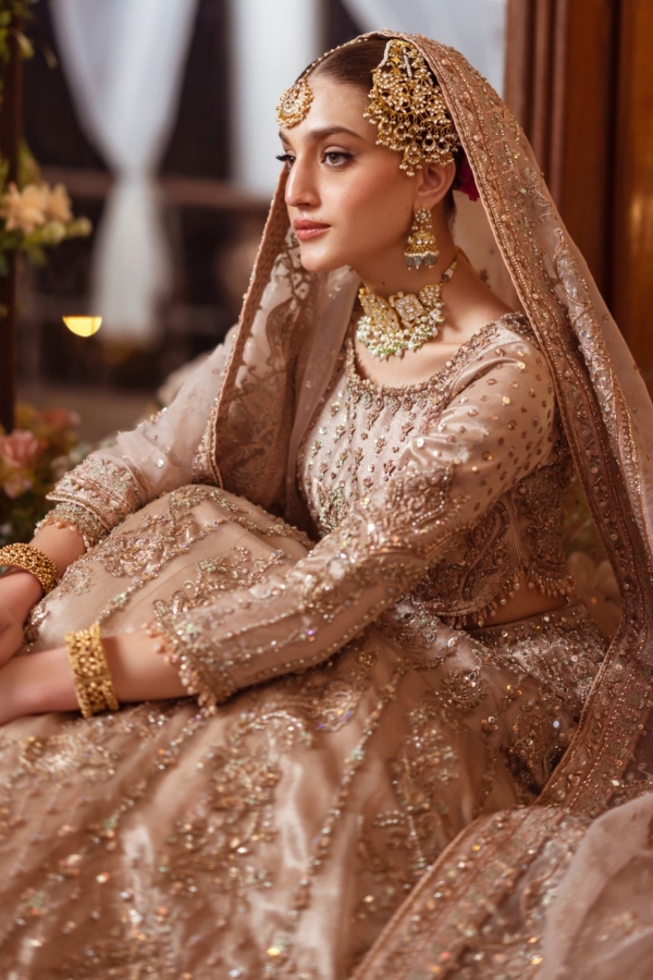 Indian Bridal Lehenga with Tissue Choli for Weddings - Image 6