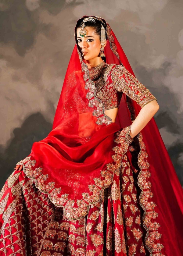 Indian Bridal Red Embellished Lehenga Choli - Image 3