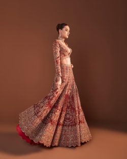 Indian Bridal Red Net Lehenga Choli