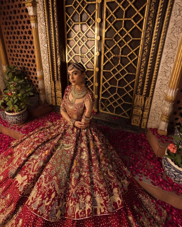 Indian Bridal Royal Red Lehenga Frock