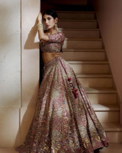 Indian Bridal Wine Red Lehenga Choli