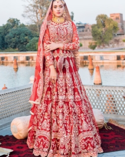 Indian Red Bridal Wedding Lehenga Choli