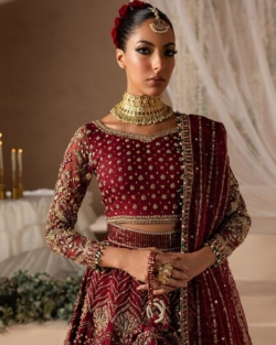 Latest Bridal Anari Red Choli Lehenga