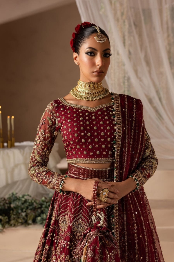 Latest Bridal Anari Red Choli Lehenga - Image 2