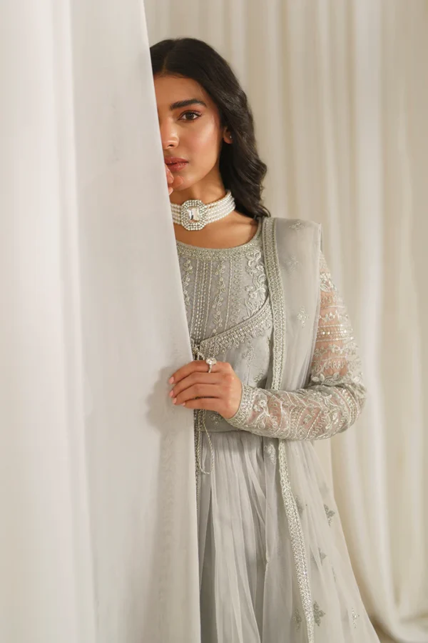 Pakistani Party Light Grey Organza Frock - Image 3