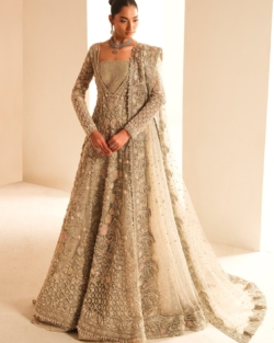 Luxurious Pakistani Bridal Gown With Lehenga In Silver Grey