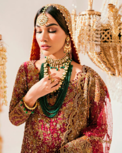 Pakistani Embroidered Bridal Dress Farshi Lehenga Gown Style