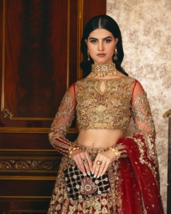 Pakistani Wedding Dress Red Bridal Lehenga Embellished Outfit