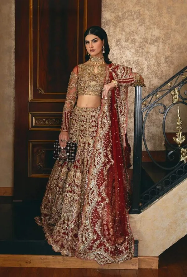 Pakistani Wedding Dress Red Bridal Lehenga Embellished Outfit - Image 3