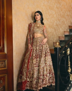 Pakistani Wedding Dress Red Bridal Lehenga Embellished Outfit