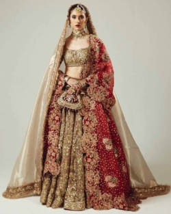 Golden Lehenga Choli With Maroon Dupatta Pakistani Bridal Dress