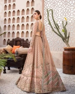 Pakistani Bridal Dress Silk Lehenga Net Choli Wedding Outfit