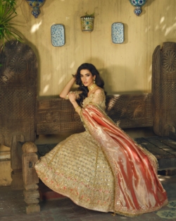 Pakistani Bridal Dress Gold Lehenga Choli Embellished Outfit