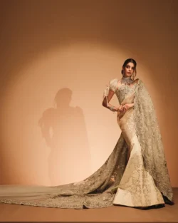 Embellished Golden Brilliant Saree Style Pakistani Bridal Dress