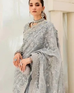 Pakistani Ice Blue Saree Embroidered Styling For Wedding