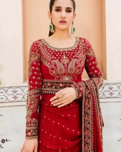 Embroidered Pakistani Marriage Dress In Dark Red Saree Style