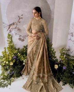 Light Brown Embroidered Pakistani Silk Bridal Saree Dress