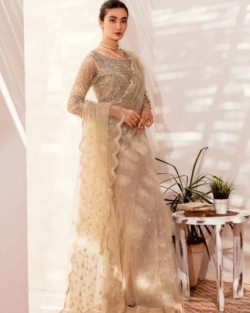 Embellished Cream Pakistani Bridal Net Saree Wedding Dress