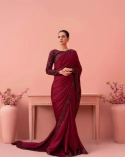 Pakistani Embellished Maroon Moon Light Bridal Saree Outfit