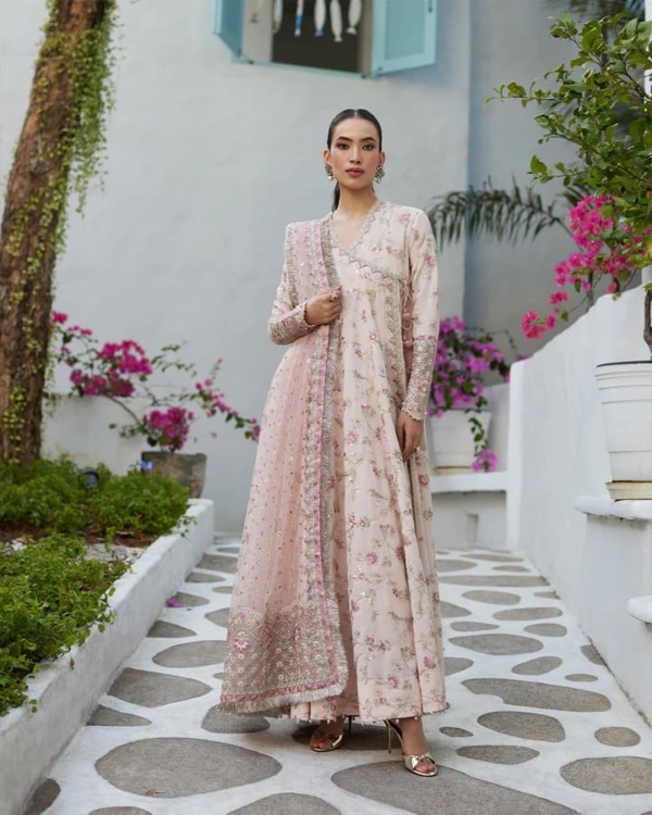 Peach Pink Long Gown Pakistani Dress