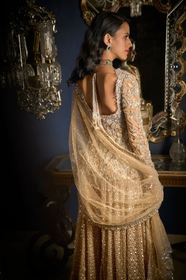 Nude Silver Latest Indian Bridal Sharara - Image 3